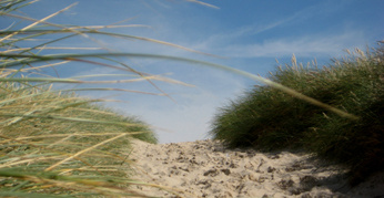 neuer_weg_zum_ziel_346 neuer_weg_zum_ziel_346